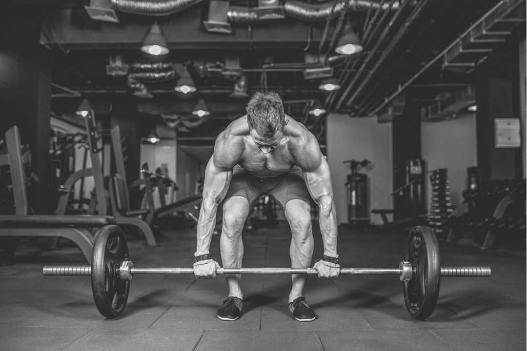 lifting straps being used for barbell exercises