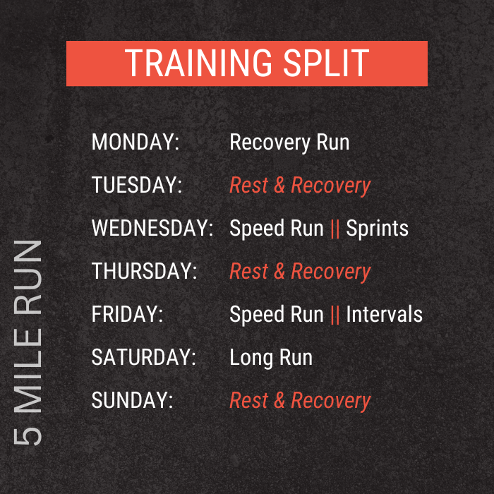 5 MILE RUN