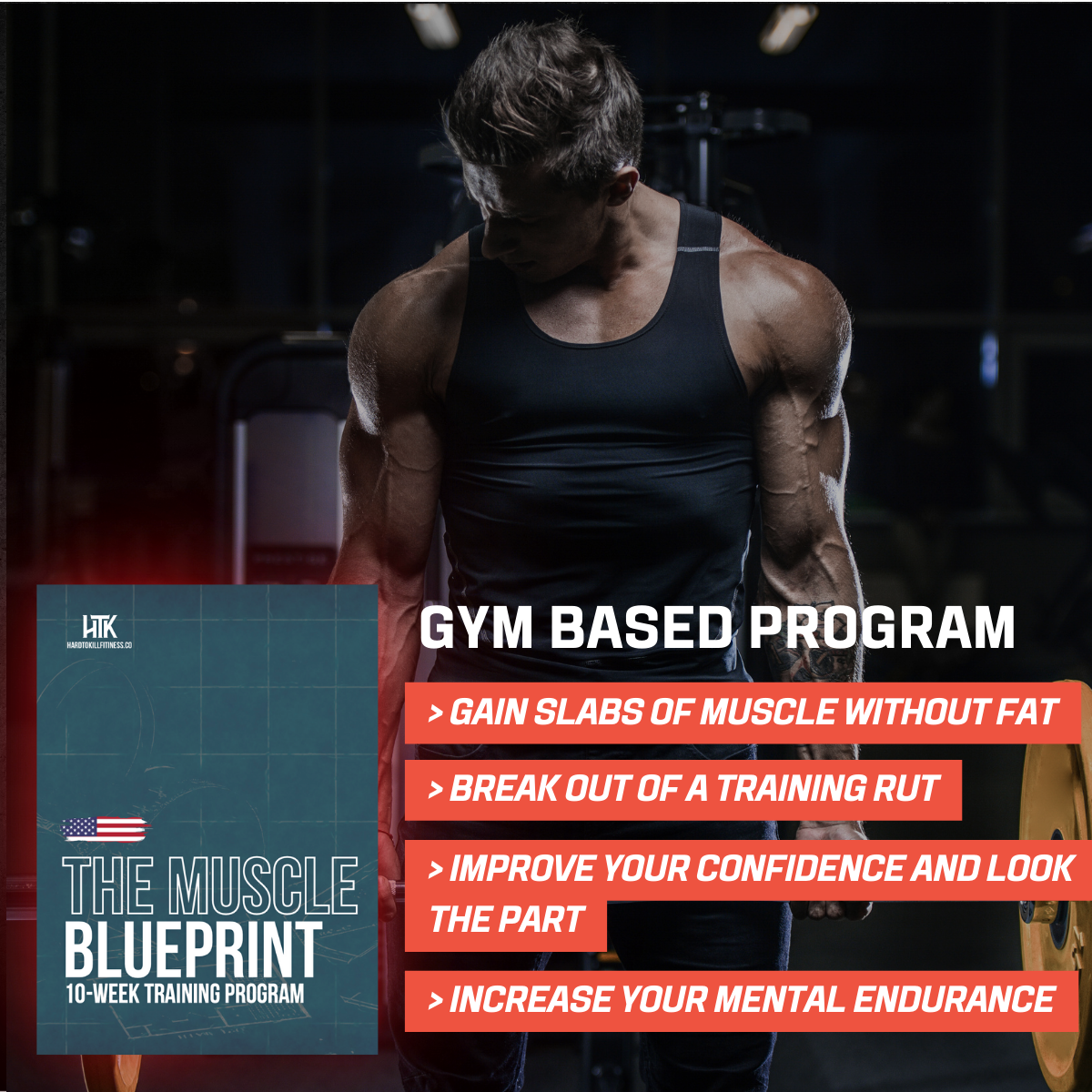 THE MUSCLE BLUEPRINT