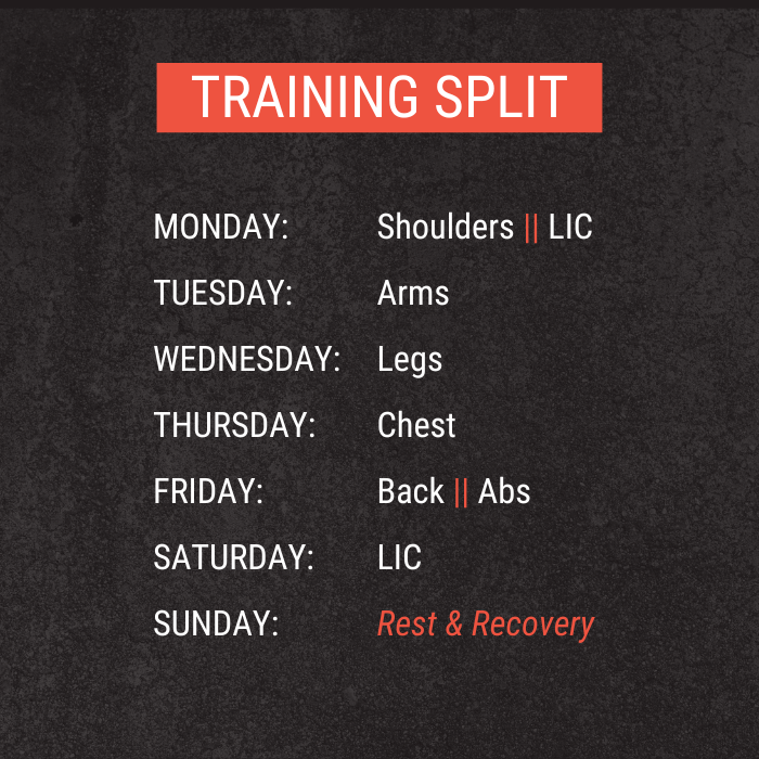 THE MUSCLE BLUEPRINT