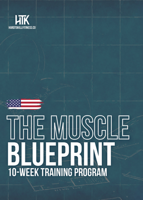 THE MUSCLE BLUEPRINT