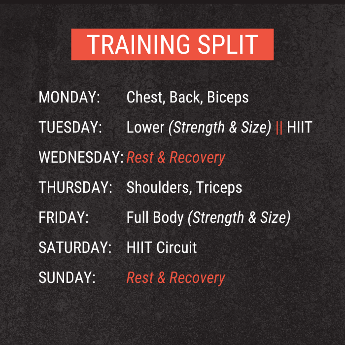 TACTICAL MONSTER V2 [MASS]